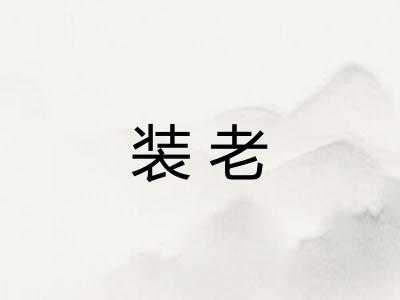 装老