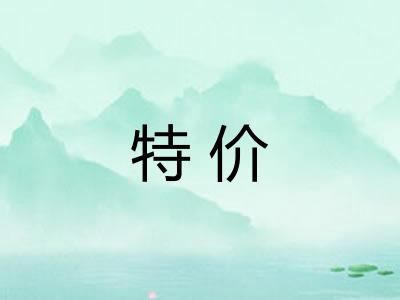 特价