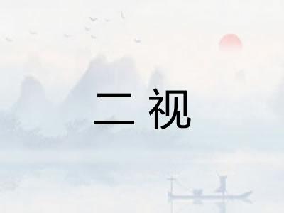 二视