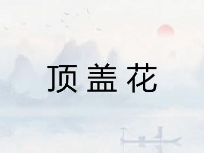 顶盖花