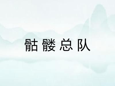 骷髅总队