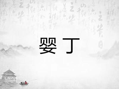 婴丁
