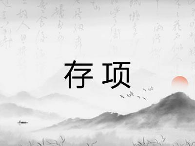 存项