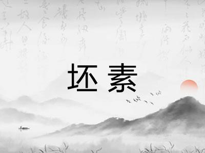 坯素