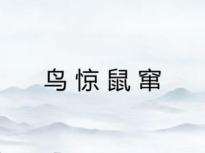 鸟惊鼠窜