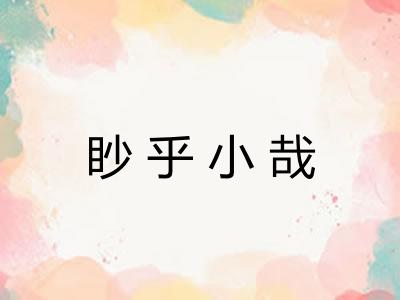 眇乎小哉