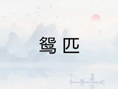 鸳匹