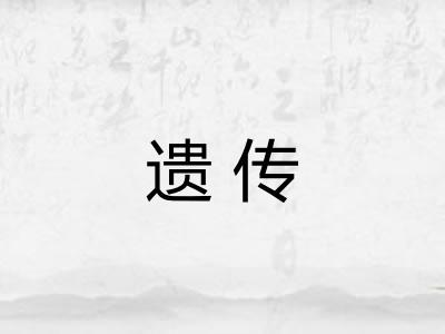 遗传