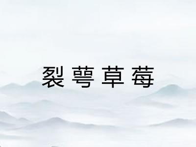 裂萼草莓