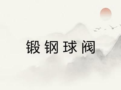 锻钢球阀