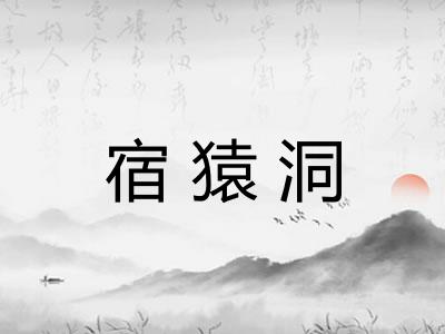 宿猿洞