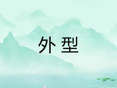 外型