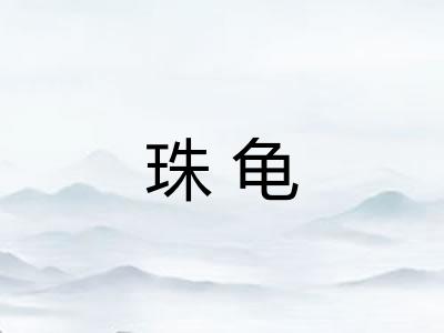 珠龟