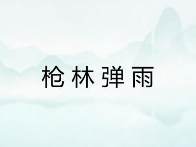 枪林弹雨