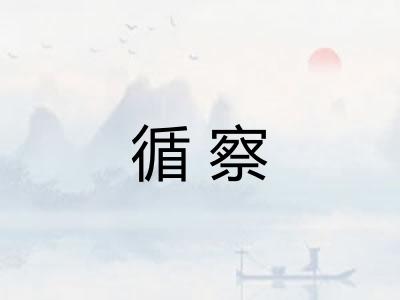 循察