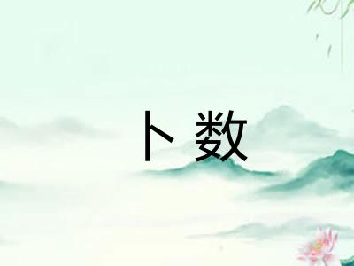 卜数