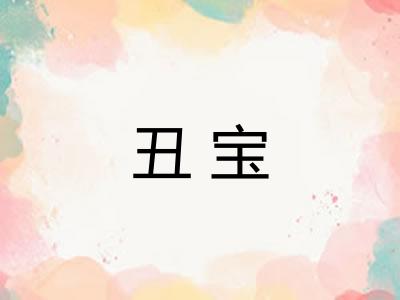 丑宝