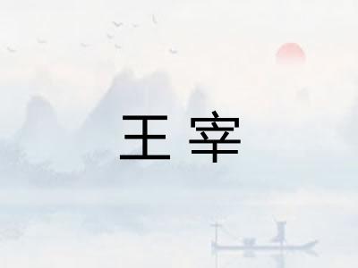 王宰