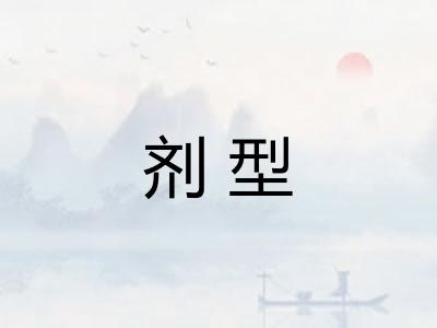 剂型