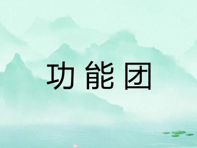 功能团
