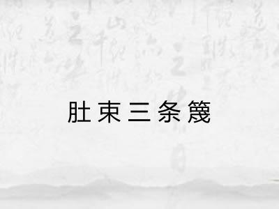 肚束三条篾