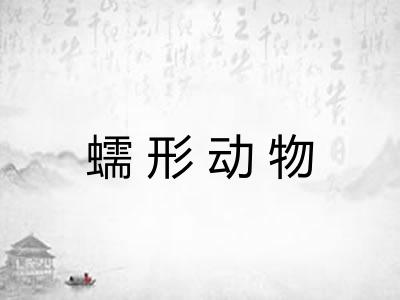 蠕形动物