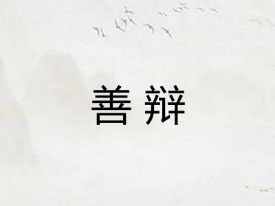 善辩