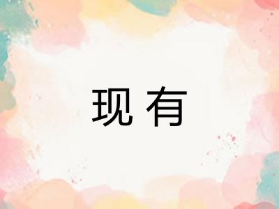 现有