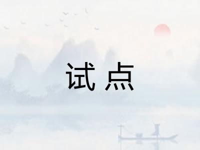 试点