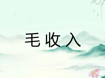 毛收入
