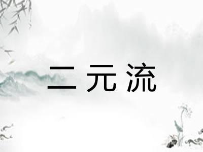 二元流