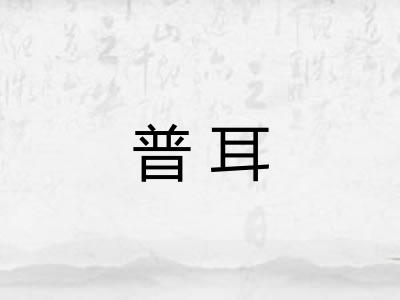 普耳
