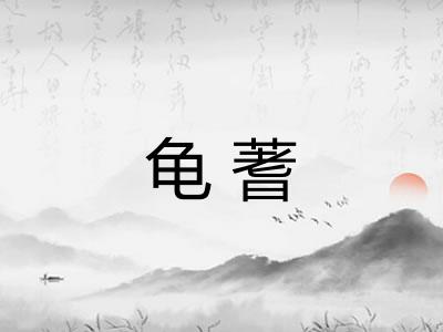 龟蓍