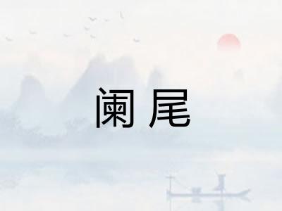 阑尾