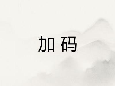 加码