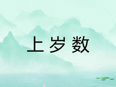 上岁数
