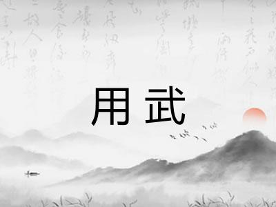 用武