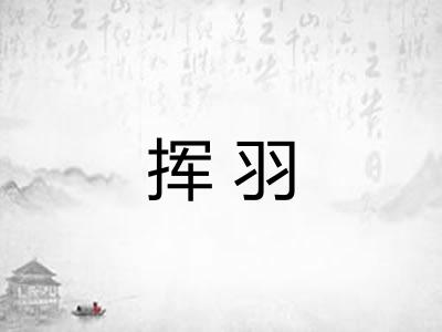 挥羽