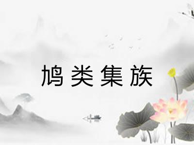 鸠类集族
