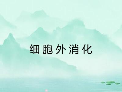 细胞外消化