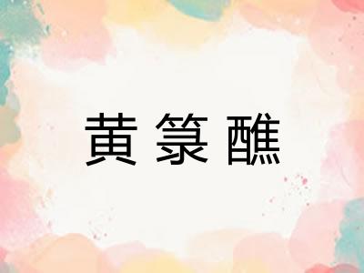 黄箓醮